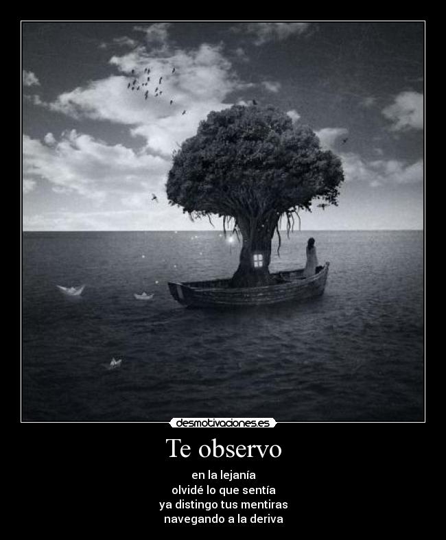 Te observo - en la lejanía
olvidé lo que sentía
ya distingo tus mentiras
navegando a la deriva
