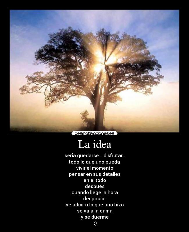 carteles disfrutar vivirlo desmotivaciones