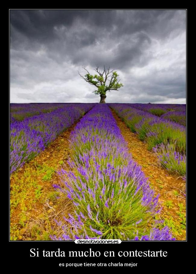 Si tarda mucho en contestarte -