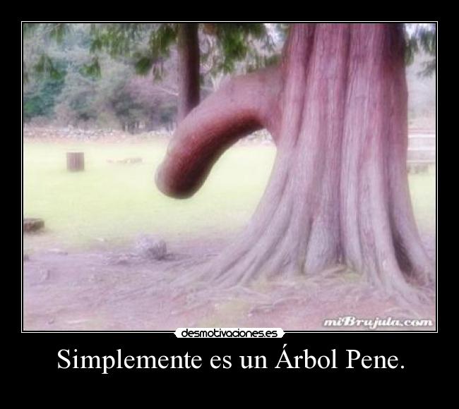 carteles arbol pene desmotivaciones