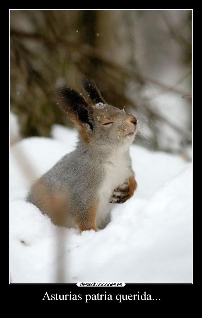 carteles tambien bale himno espana desmotivaciones