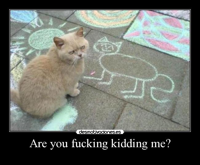 Are you fucking kidding me? -