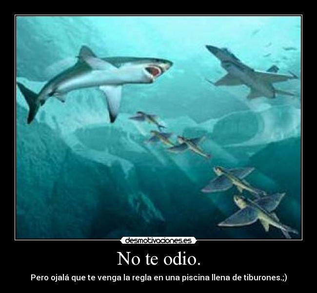 No te odio. - Pero ojalá que te venga la regla en una piscina llena de tiburones.;)