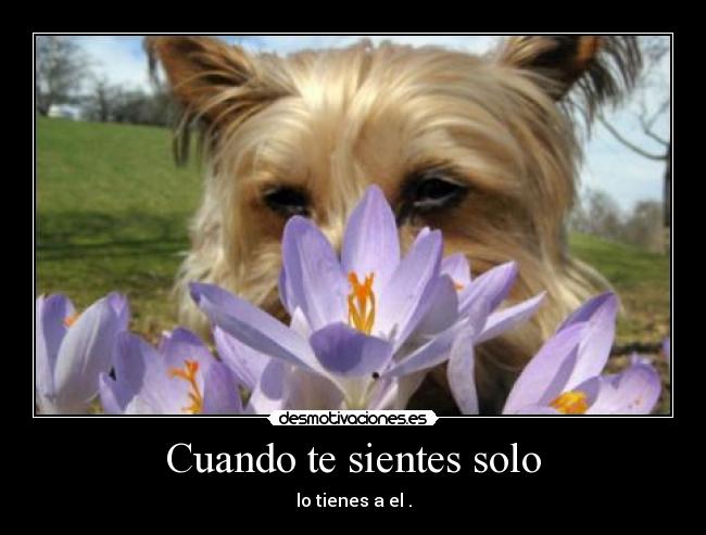 Cuando te sientes solo -