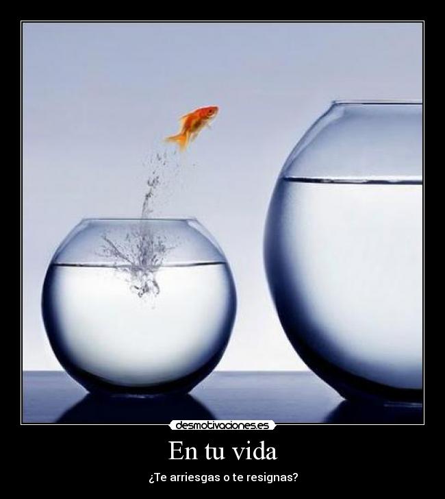 En tu vida - ¿Te arriesgas o te resignas?