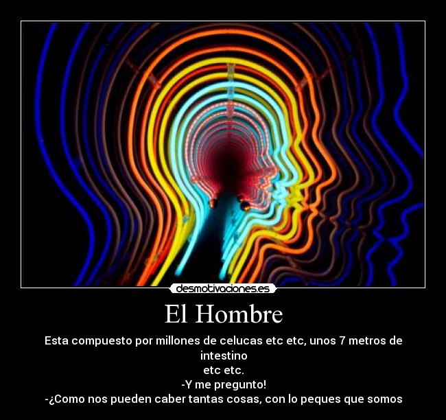 El Hombre - Esta compuesto por millones de celucas etc etc, unos 7 metros de intestino
etc etc.
-Y me pregunto!
-¿Como nos pueden caber tantas cosas, con lo peques que somos