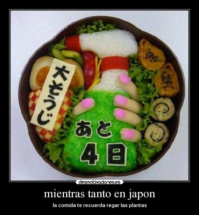 mientras tanto en japon -