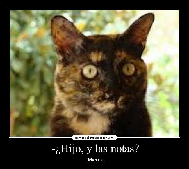 -¿Hijo, y las notas? -
