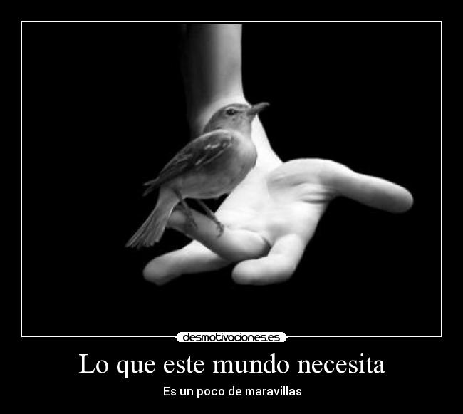 Lo que este mundo necesita - 