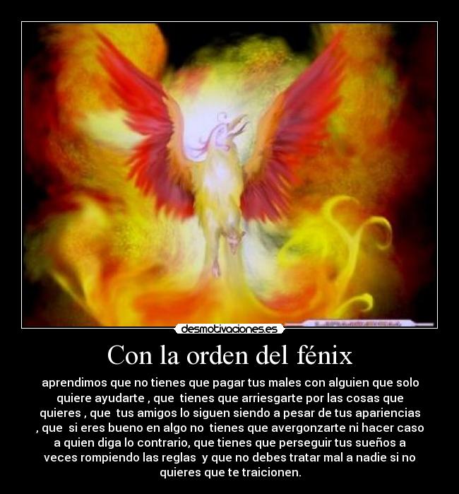 Con la orden del fénix -