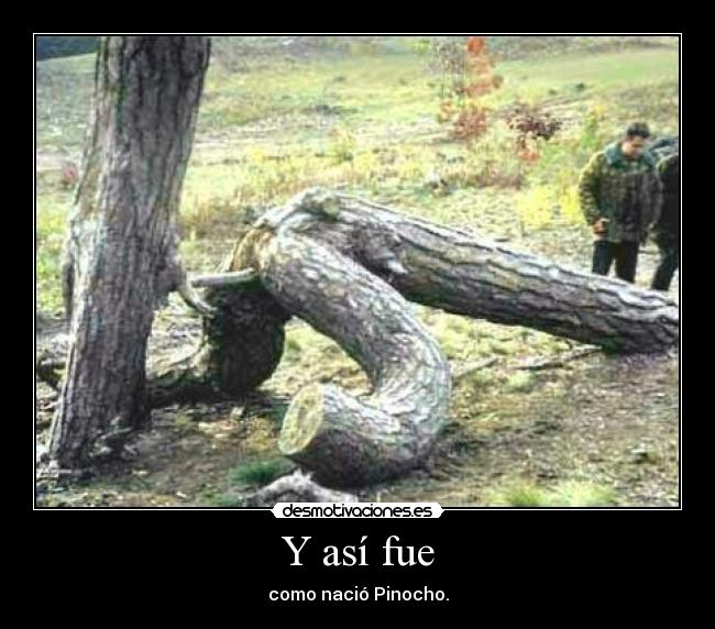 Y así fue -