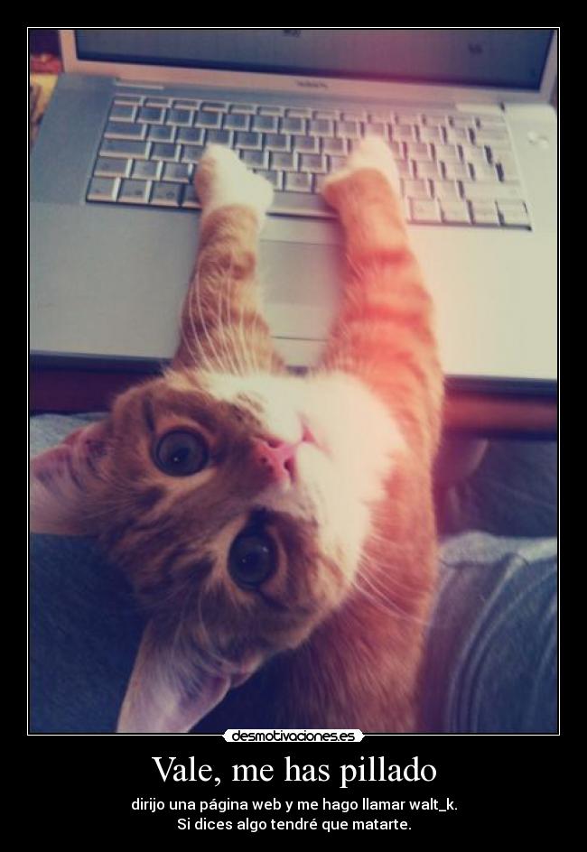 Vale, me has pillado - dirijo una página web y me hago llamar walt_k.
Si dices algo tendré que matarte.