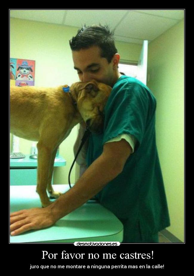 Por favor no me castres! -