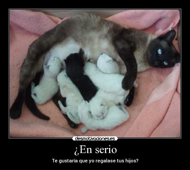 ¿En serio -