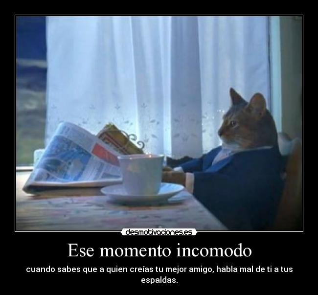 carteles gatosmomentos incomodos amigos falsos por eso casi confio nadie desmotivaciones