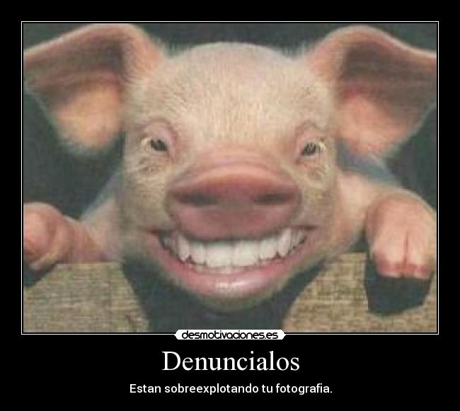 Denuncialos - 