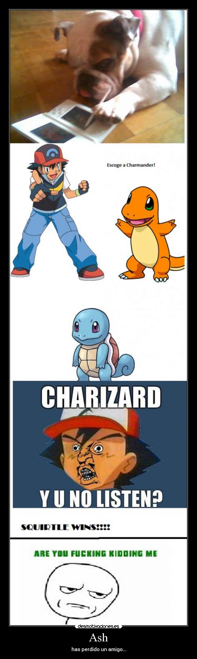 Ash - has perdido un amigo...