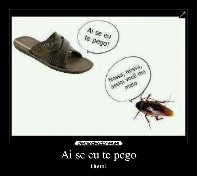 Ai se eu te pego - Literal.