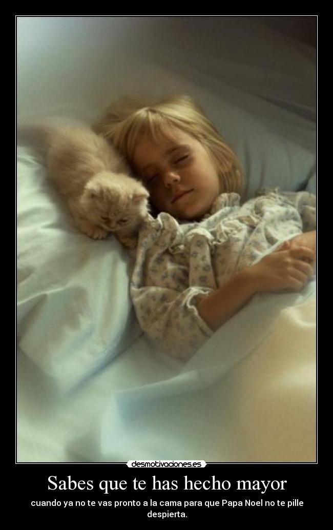 carteles papa noel amaiuki92 desmotivaciones