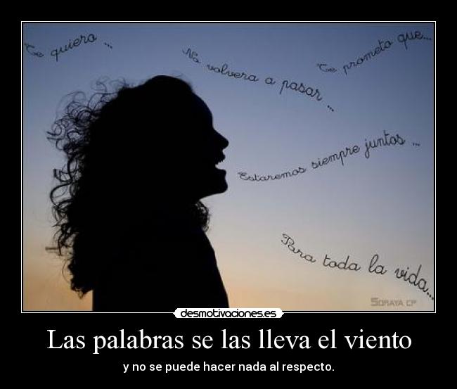 carteles 3810 palabras las lleva viento desmotivaciones