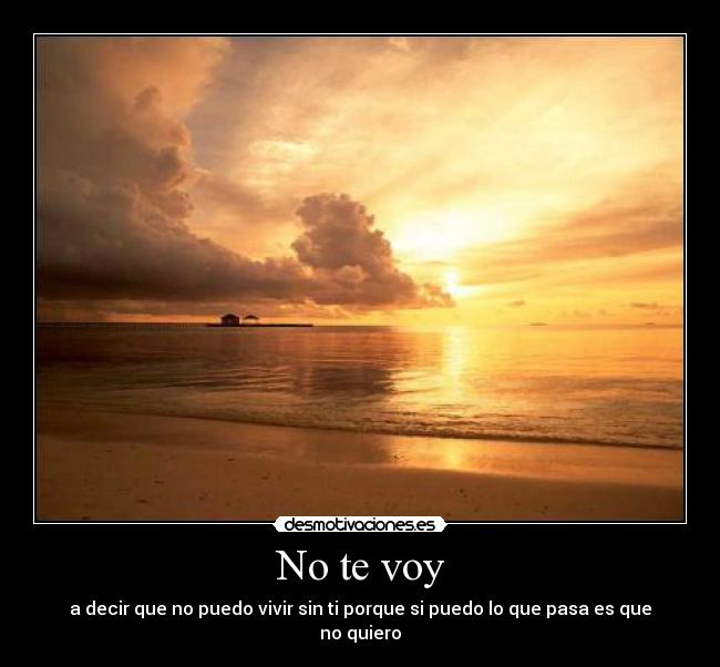 No te voy - 