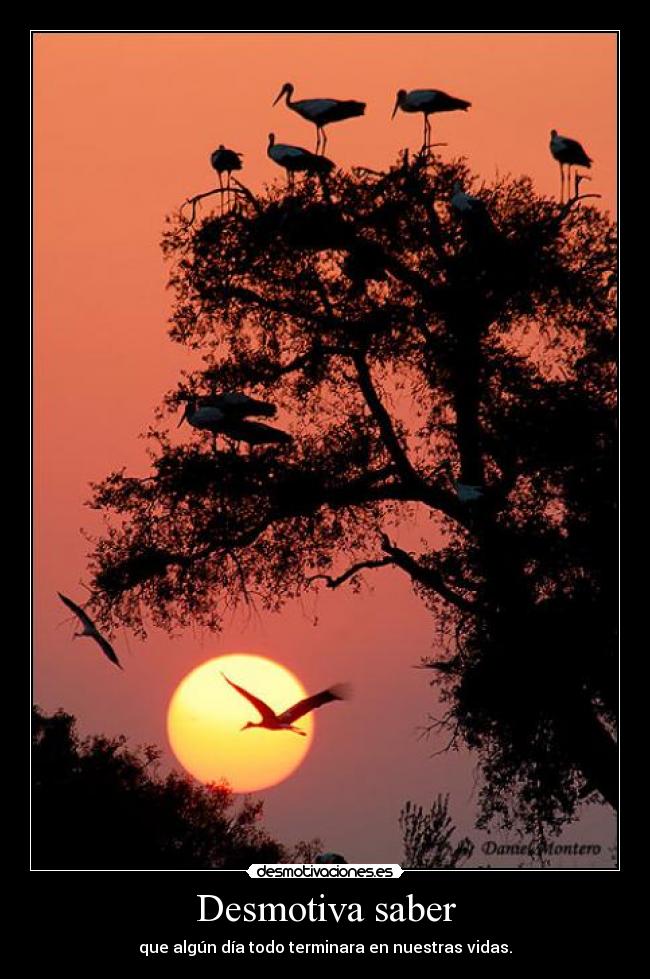 Desmotiva saber - que algún día todo terminara en nuestras vidas.