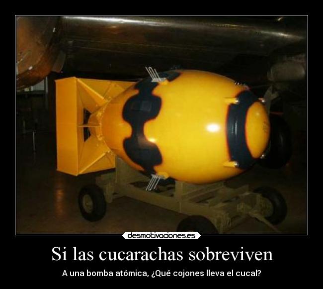 Si las cucarachas sobreviven -