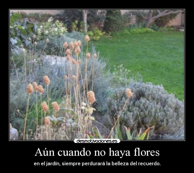 Aún cuando no haya flores - en el jardín, siempre perdurará la belleza del recuerdo.