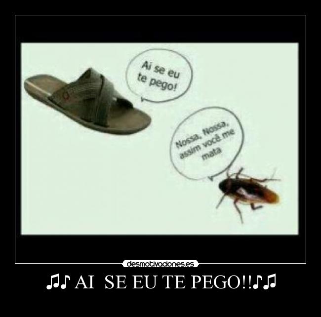 carteles humor costenol desmotivaciones