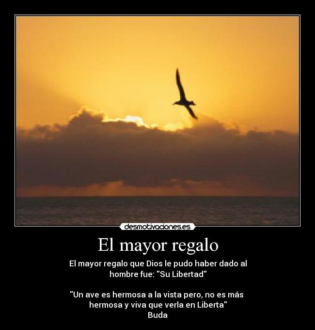 El mayor regalo - El mayor regalo que Dios le pudo haber dado al
hombre fue: Su Libertad
Un ave es hermosa a la vista pero, no es más
hermosa y viva que verla en Liberta
Buda