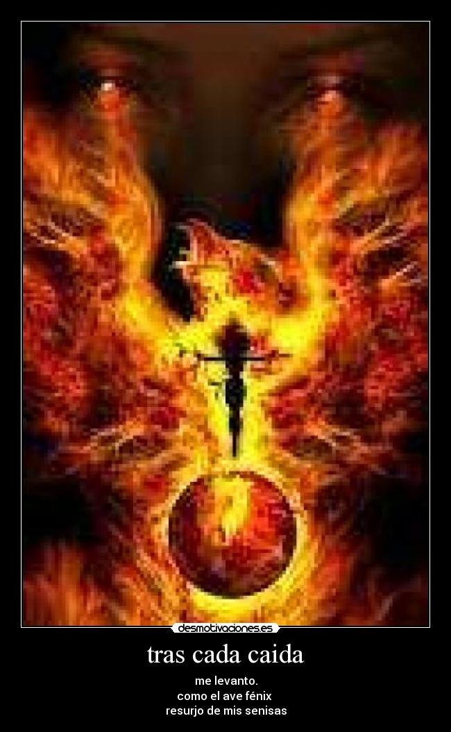 tras cada caida - me levanto.
como el ave fénix
resurjo de mis senisas