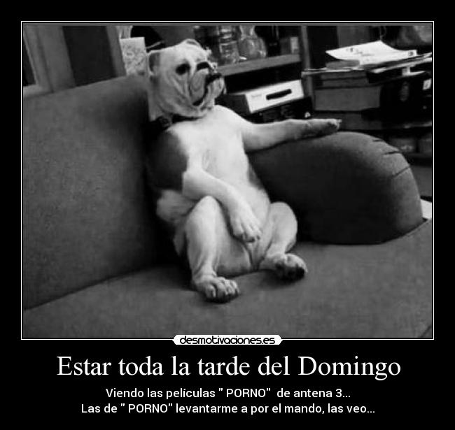 Estar toda la tarde del Domingo -