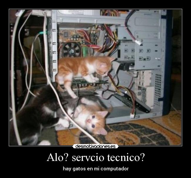 Alo? servcio tecnico? -