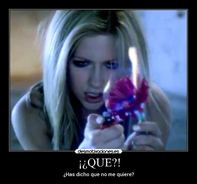 ¡¿QUE?! - ¿Has dicho que no me quiere?