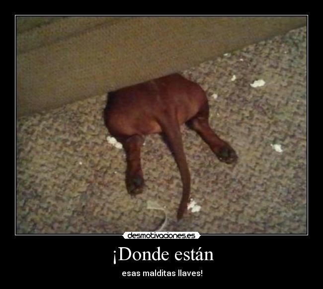 ¡Donde están - esas malditas llaves!