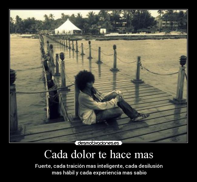 Cada dolor te hace mas - Fuerte, cada traición mas inteligente, cada desilusión
mas hábil y cada experiencia mas sabio