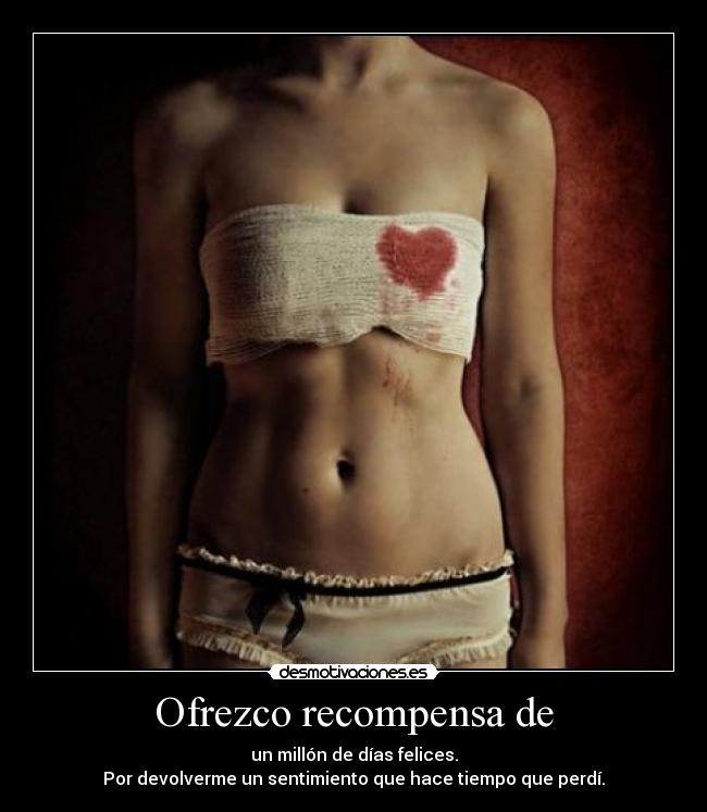 Ofrezco recompensa de -