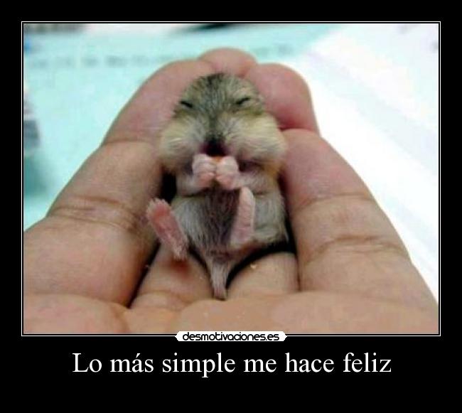 Lo más simple me hace feliz - 