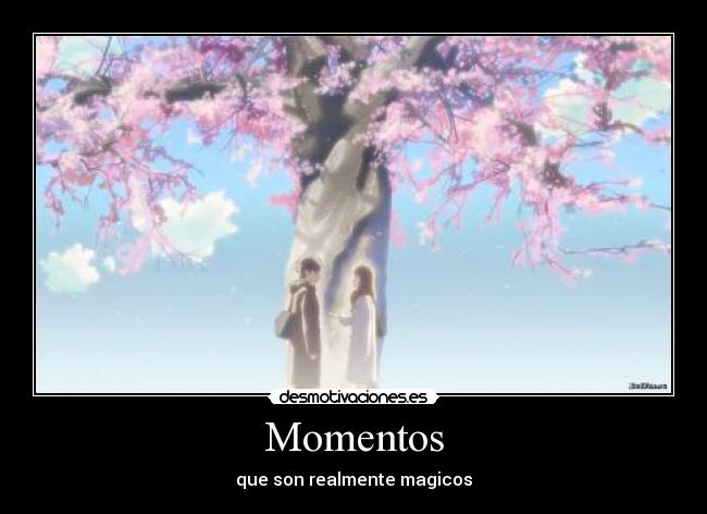 Momentos - que son realmente magicos