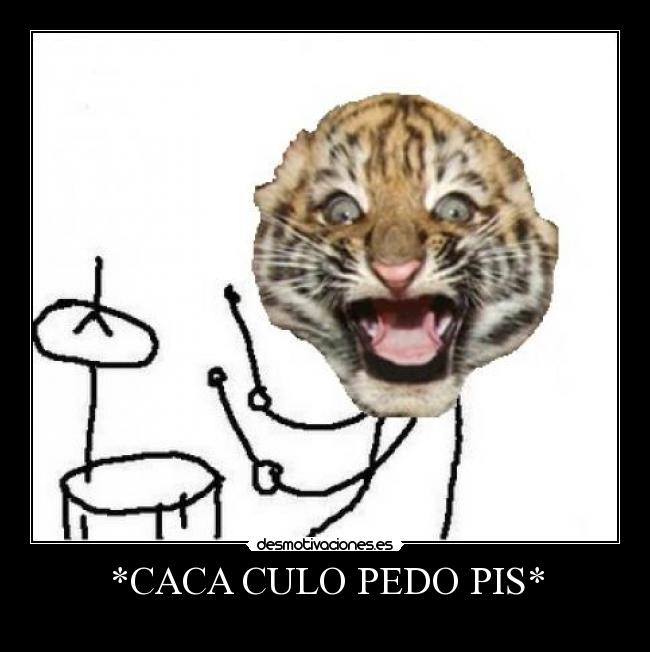 *CACA CULO PEDO PIS* -