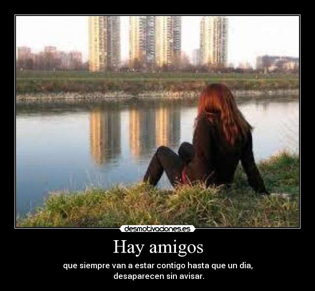 Hay amigos - 