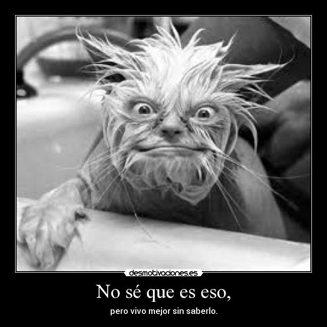 No sé que es eso, - 