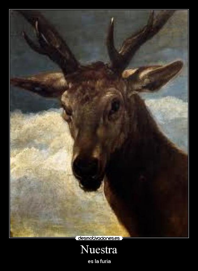 Nuestra - es la furia