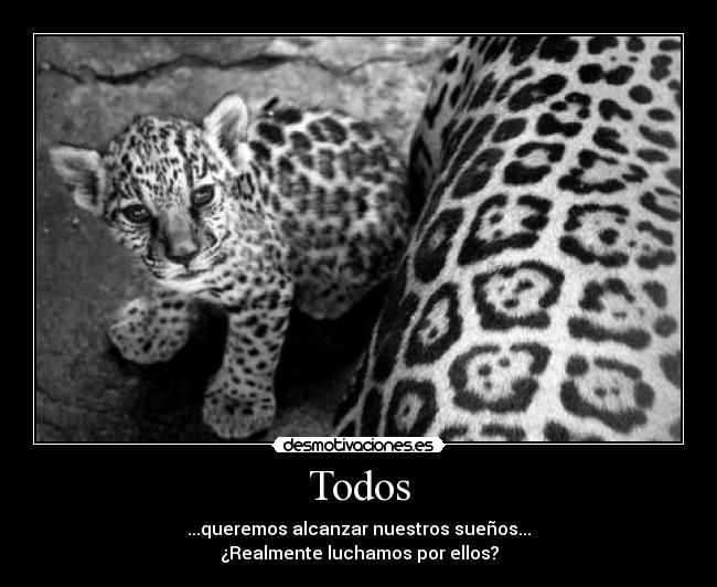 Todos - 