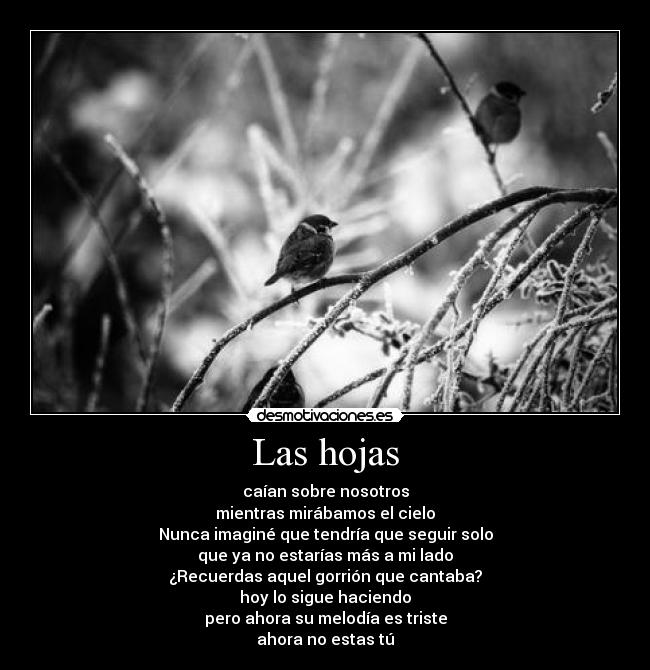 carteles que meirda hablo entiendo desmotivaciones