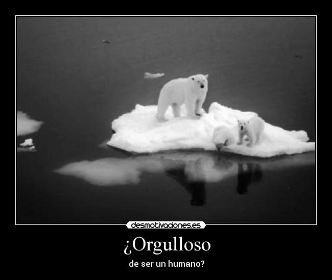 ¿Orgulloso - 
