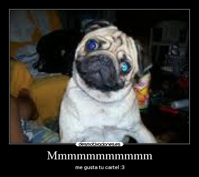 Mmmmmmmmmmm - me gusta tu cartel :3