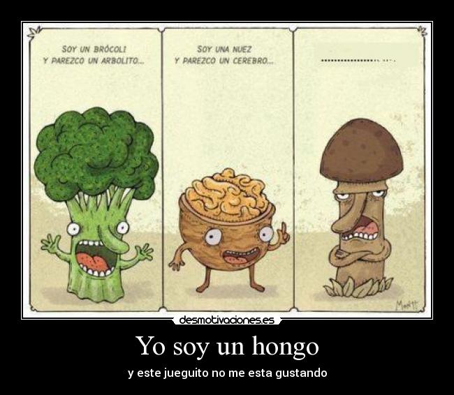 Yo soy un hongo - 