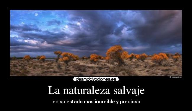 La naturaleza salvaje - en su estado mas increible y precioso