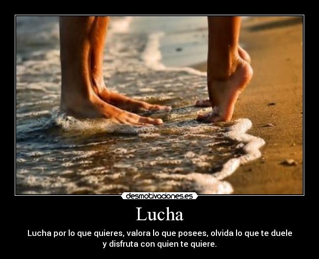 Lucha - 